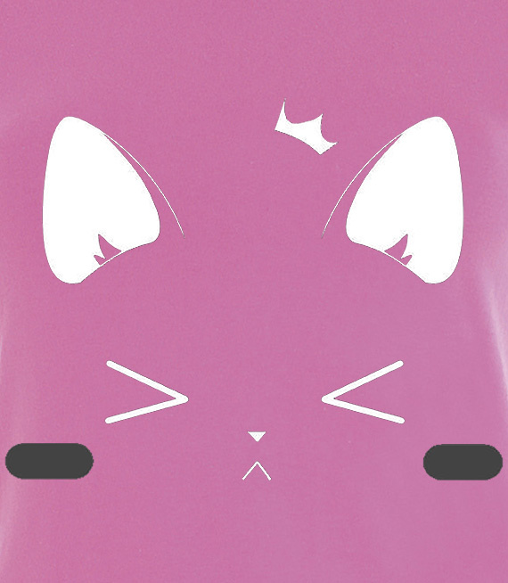 Koszulki z nadrukiem-Cat betla