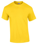 Koszulki Gildan do-5XL- Ultra Cotton