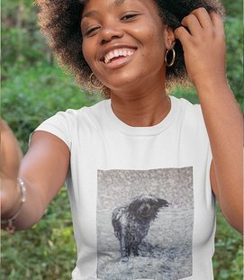 Koszulka Damska-Wybrzeże