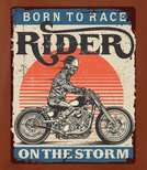 Koszulka męska - RIDE ON THE STORM