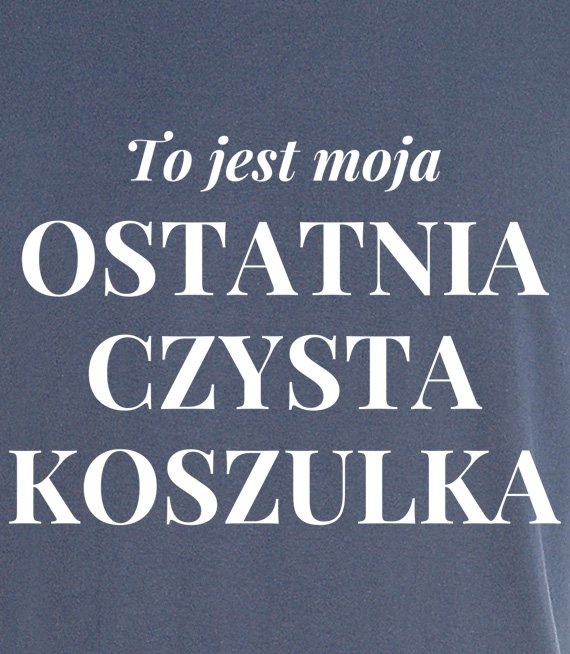 Koszulka męska 3XL-5XL  - To jest moja ostatnia czysta koszulka