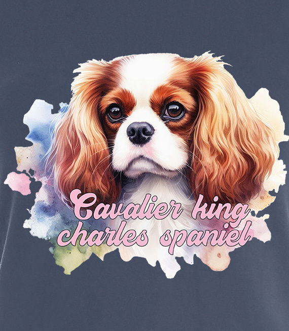 Koszulki z nadrukiem  - Cavalier king charles spaniel