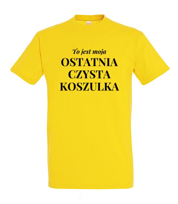 Koszulka męska 3XL-5XL  - To jest moja ostatnia czysta koszulka