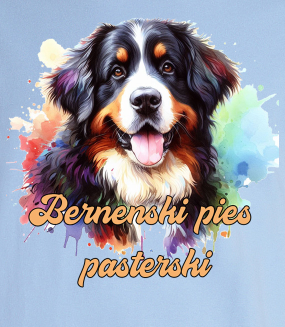 Koszulki z nadrukiem  - Berneński pies pasterski