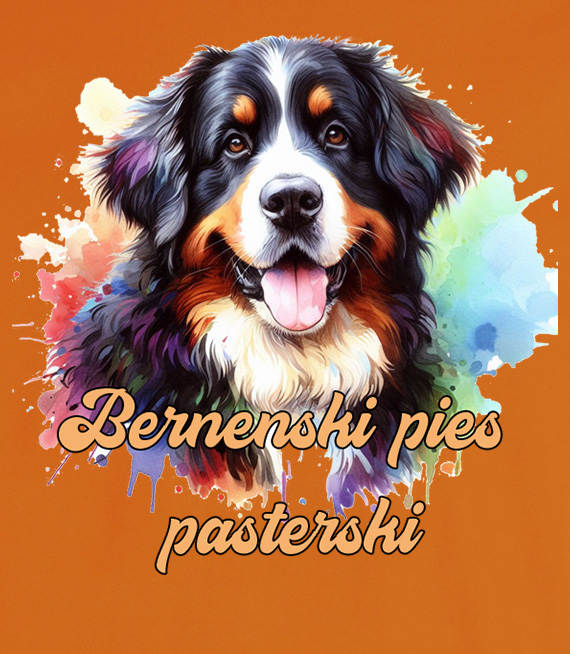 Koszulki z nadrukiem  - Berneński pies pasterski