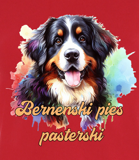 Koszulki z nadrukiem  - Berneński pies pasterski