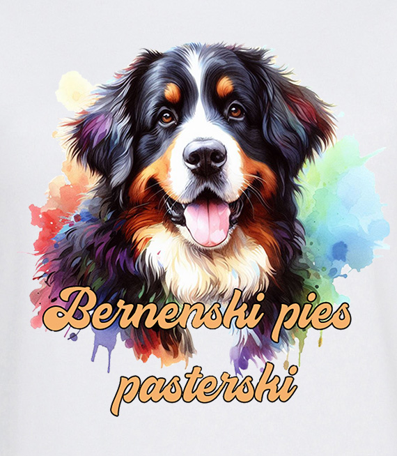 Koszulki z nadrukiem  - Berneński pies pasterski