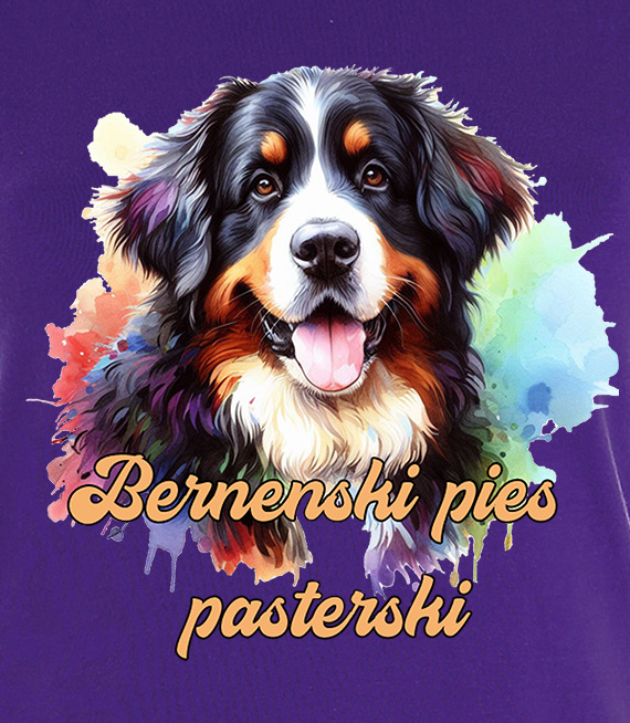 Koszulki z nadrukiem  - Berneński pies pasterski