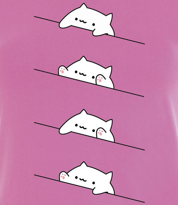 Koszulki z nadrukiem-Bongo cat set