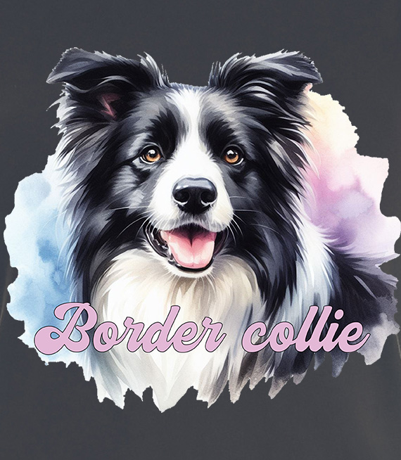 Koszulki z nadrukiem  - Border collie