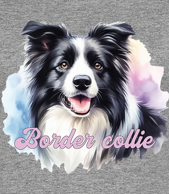 Koszulki z nadrukiem  - Border collie