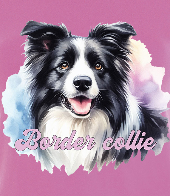 Koszulki z nadrukiem  - Border collie