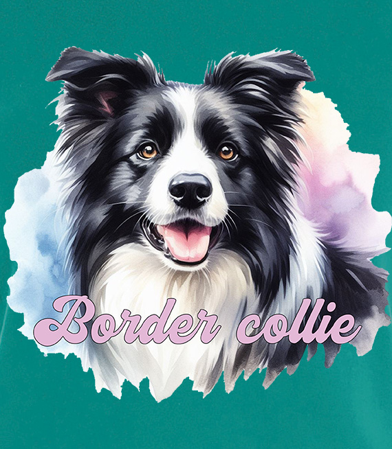 Koszulki z nadrukiem  - Border collie