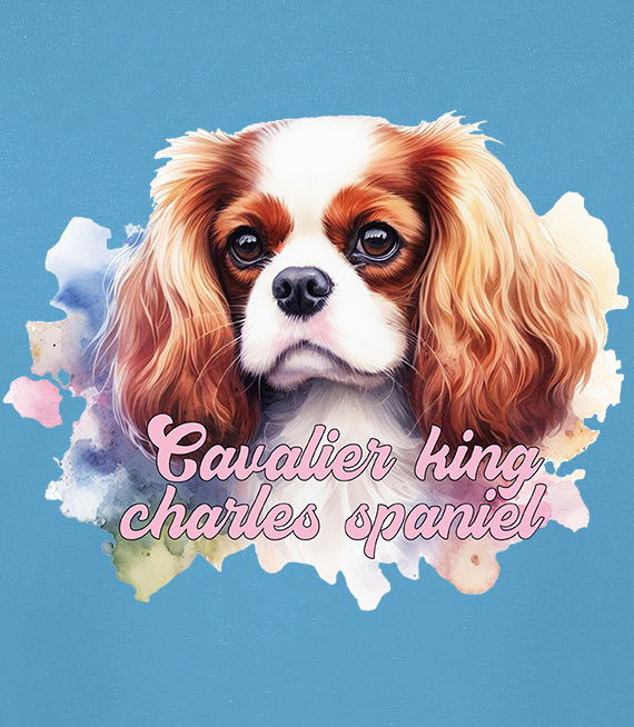 Koszulki z nadrukiem-Cavalier king charles spaniel