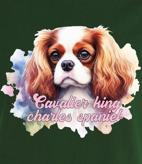 Koszulki z nadrukiem-Cavalier king charles spaniel