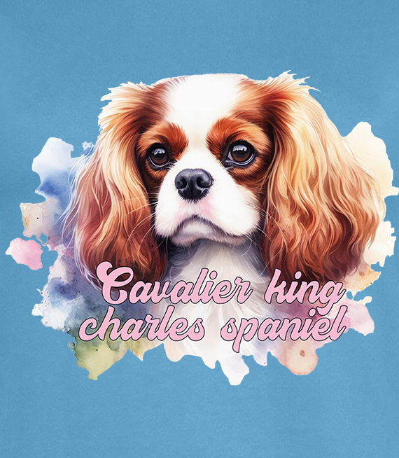 Koszulki z nadrukiem  - Cavalier king charles spaniel