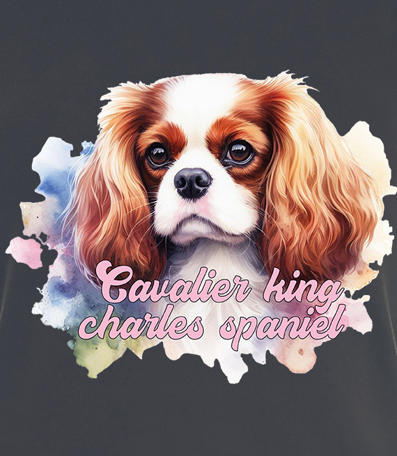 Koszulki z nadrukiem  - Cavalier king charles spaniel