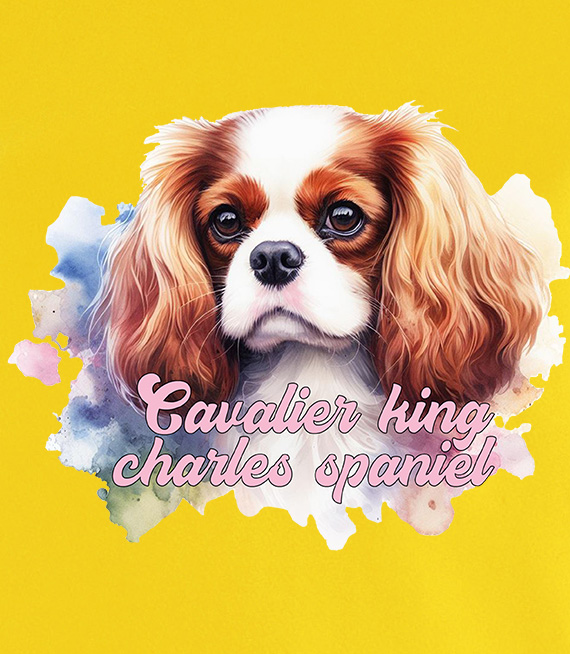 Koszulki z nadrukiem  - Cavalier king charles spaniel