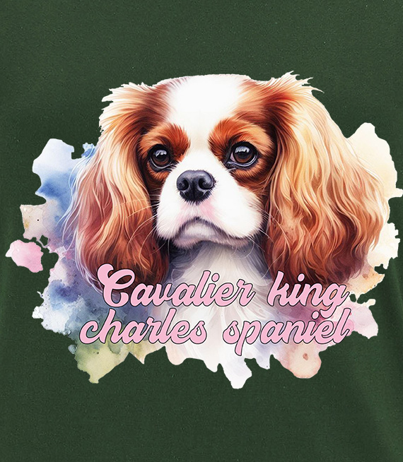 Koszulki z nadrukiem  - Cavalier king charles spaniel