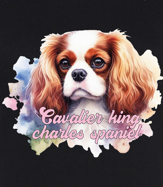 Koszulki z nadrukiem  - Cavalier king charles spaniel