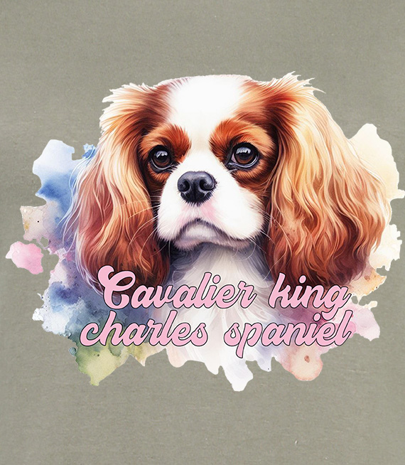 Koszulki z nadrukiem  - Cavalier king charles spaniel