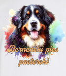 Koszulki z nadrukiem  - Berneński pies pasterski