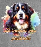 Koszulki z nadrukiem  - Berneński pies pasterski