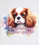 Koszulki z nadrukiem-Cavalier king charles spaniel