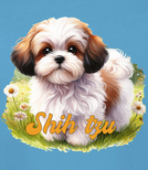 Koszulki z nadrukiem-Shih tzu